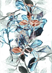 Freyr X, 2018 (digitale)