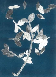 Giardino di mezzanotte II, 2015