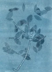 Giardino di mezzanotte I, 2015