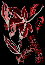 Flora notturna I, 2018 (digitale)