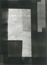 Nocturnus V, 2015 (monografia su carta)