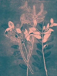 Stagione VI, 2018 (digitale)