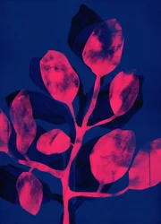 Giardino estivo III rosa, 2018 (digitale)