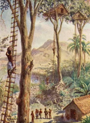 Illustrazione della vita del vescovo Patteson (litografia a colori)