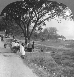 Fronte del fiume e riva, Bhamo, Birmania, 1908