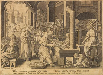 Estrazione della seta Vermis sericus, dopo il 1640