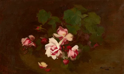 Rose in fiore