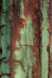 Texture verde ruggine