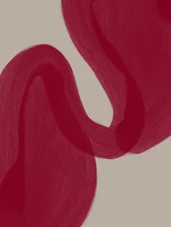 Curve rosse sinuose