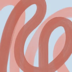 Curve sinuose in terracotta
