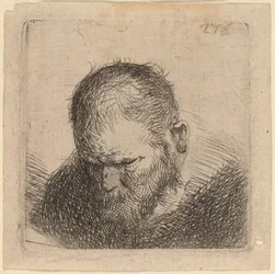 Uomo barbuto che guarda in basso