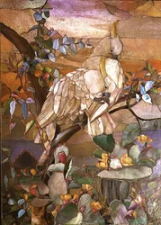 Cacatua ciuffogiallo, tradizionalmente attribuiti a Joseph Briggs
