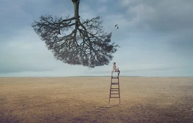 Contemplazione dell
