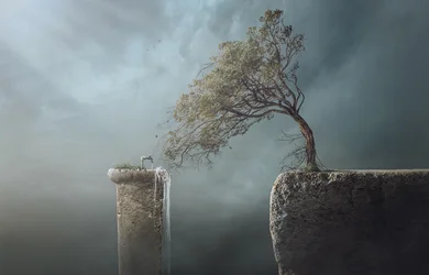 Scogliera con albero battuto dal vento