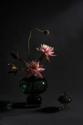 Eleganti gigli rosa