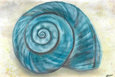 Conchiglia a spirale blu