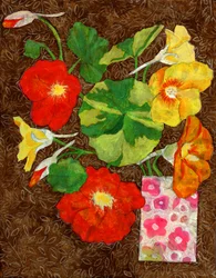Bouquet di nasturzi dai colori vivaci