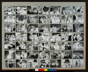 Illustrazione da Cats Galore! A Compendium of Cultured Cats (pub. 2015)