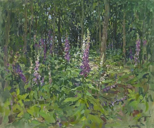 Digitale purpurea