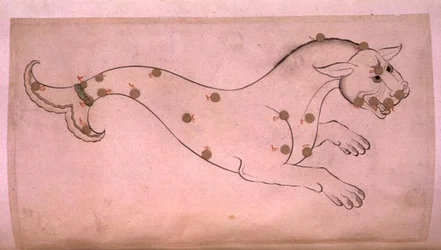 Costellazioni: Cetus, la balena
