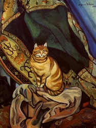 Il gatto Raminou seduto su un panno