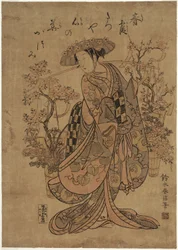 Un venditore di fiori