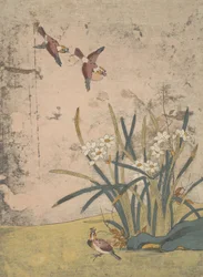 Uccelli e narcisi