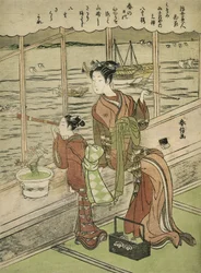 Ciliegio a doppio fiore: Motoura del Minami Yamasakiya