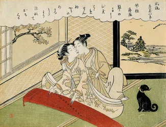 Oche che scendono sui ponti koto (Kotoji rakugan), dalla serie „Otto vedute alla moda di salotti“ (Furyu zashiki hakkei)