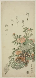Peonie e leoni cinesi