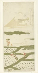 Piantatori di riso