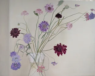 Scabiosa gloriosa, 2021 (olio su tela)