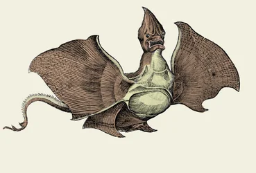 Mostro marino fantastico, illustrazione da 