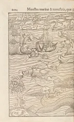 Pagina 1004 da Cosmographiae Universalis di Sebastian Muenster, Basilea, 1572