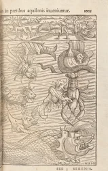 Pagina 1005 da Cosmographiae Universalis di Sebastian Muenster, Basilea, 1572