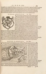 Pagina 983 da Cosmographiae Universalis di Sebastian Muenster, Basilea, 1572