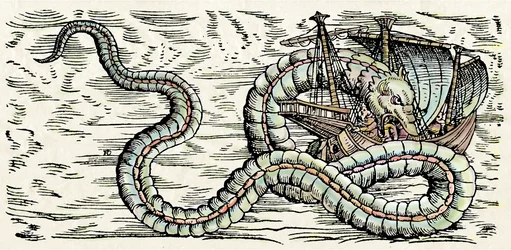 Mostro marino, illustrazione da 