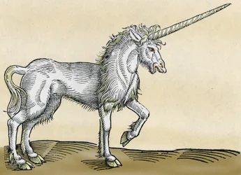 Unicorno, illustrazione da Historiae Animalium di Conrad Gesner, 1551