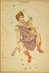 Auriga, illustrazione da 