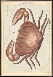 Cancro, c.1825