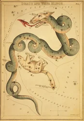 Draco e Ursa Minor, Illustrazione da 