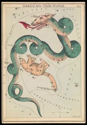 Draco e Ursa Minor