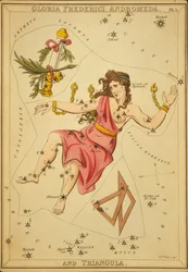 Gloria Frederici, Andromeda, e Triangula, Illustrazione da 