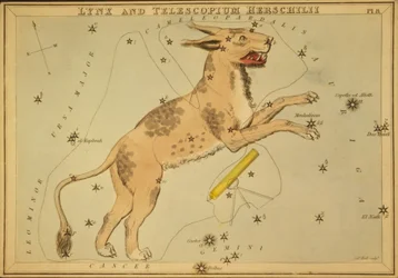 Lince e Telescopium Herschilii, illustrazione da 