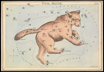 Orsa Maggiore, c.1825 (cartone, carta, tessuto)