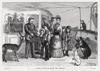 Re Edoardo VII con animali selvatici catturati a bordo della nave da trasporto, il Serapis durante la sua visita in India