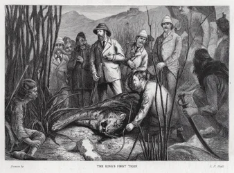 Re Edoardo VII con la tigre che ha ucciso