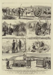 Nel grande nord-ovest con il marchese di Lorne, XI, Fattorie e trasportatori