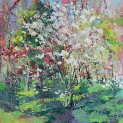 Fioritura nel bosco
