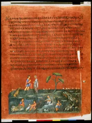 Pagina intera: testo e miniatura: Giacobbe e Labano dividono le greggi (miniatura)